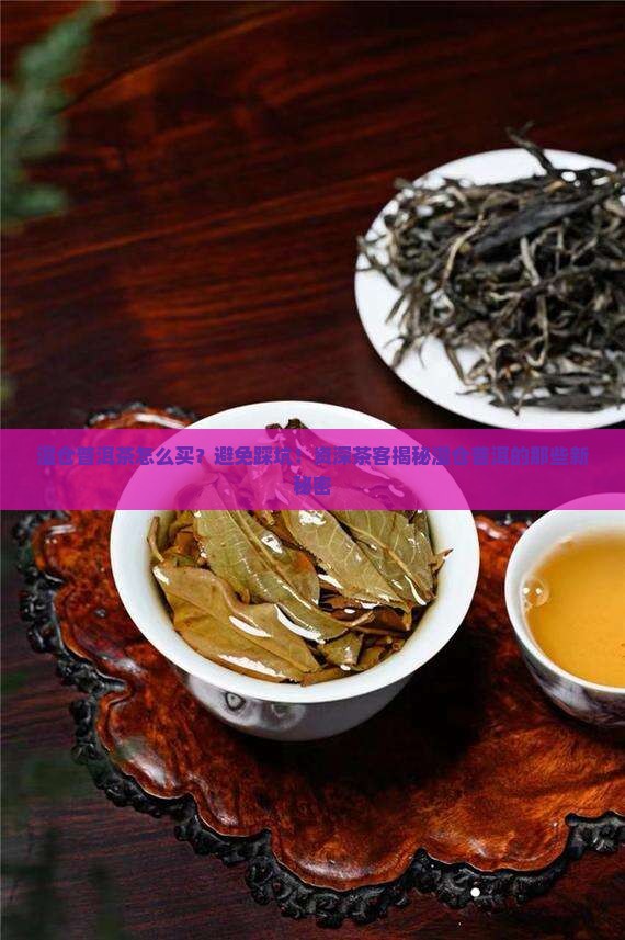 湿仓普洱茶怎么买