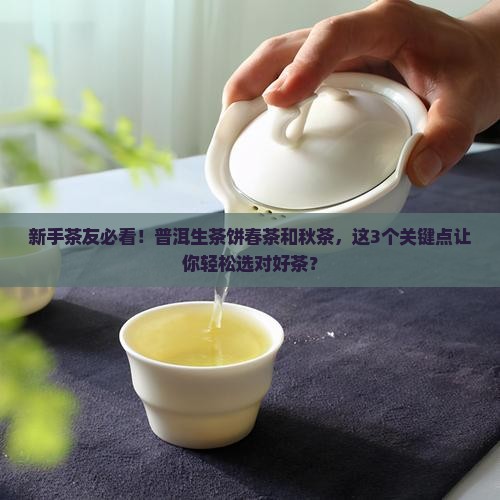 普洱茶生茶饼春茶和秋茶