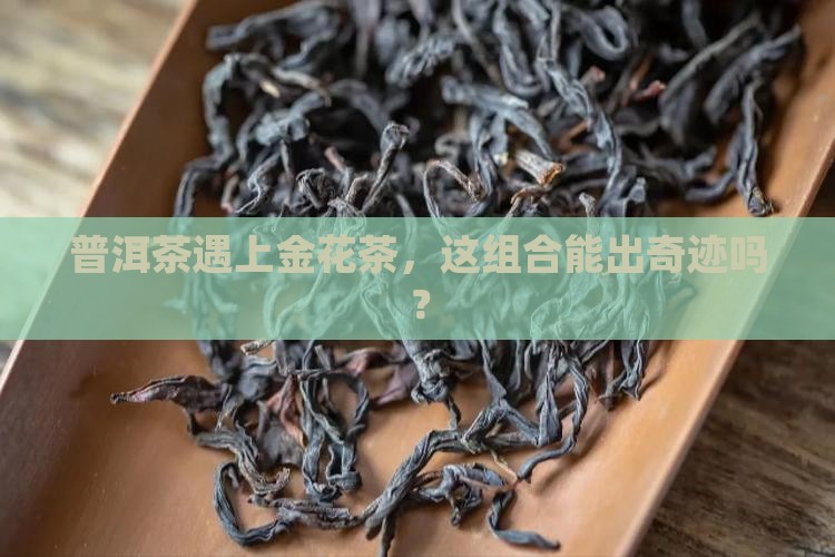 普洱茶和金花茶能一起泡吗