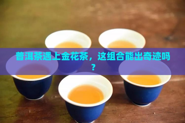 普洱茶和金花茶能一起泡吗