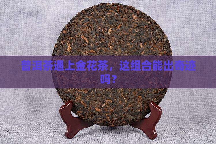 普洱茶和金花茶能一起泡吗