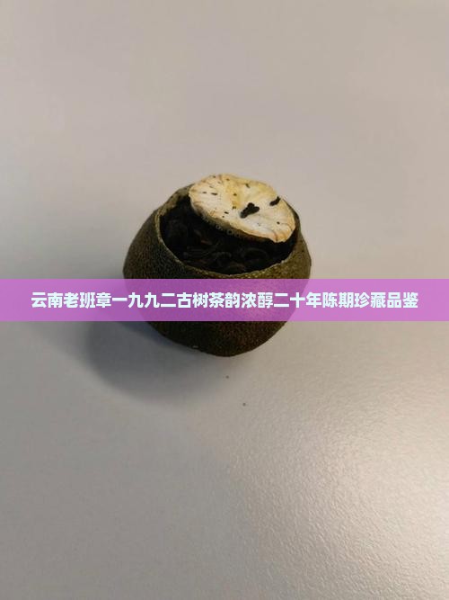 云南老班章一九九二