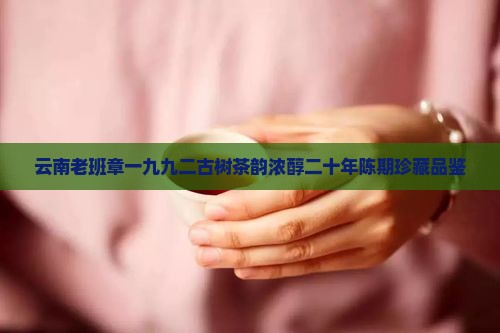 云南老班章一九九二