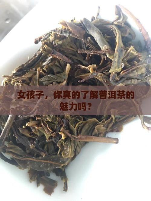 普洱茶适合女孩子喝