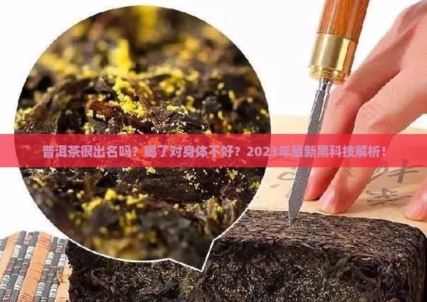普洱茶很出名吗