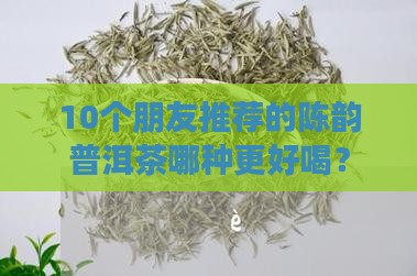 陈韵普洱茶品种