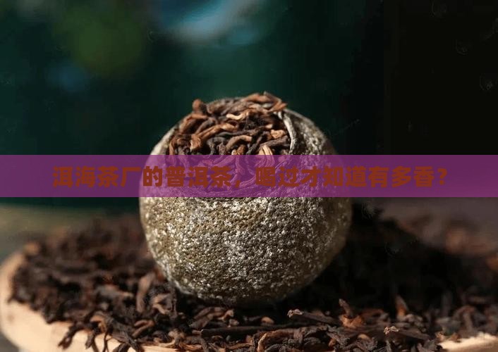 洱海茶厂生产的普洱茶
