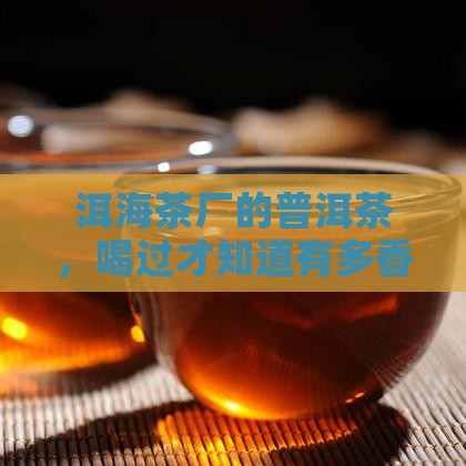 洱海茶厂生产的普洱茶