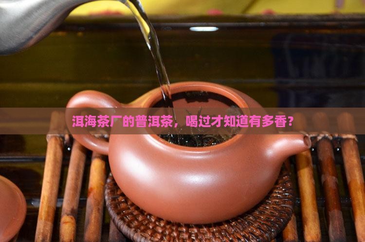 洱海茶厂生产的普洱茶