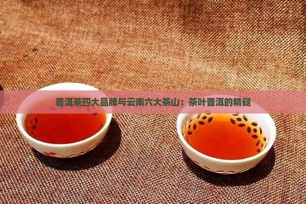 普洱茶的四大品牌六大茶山