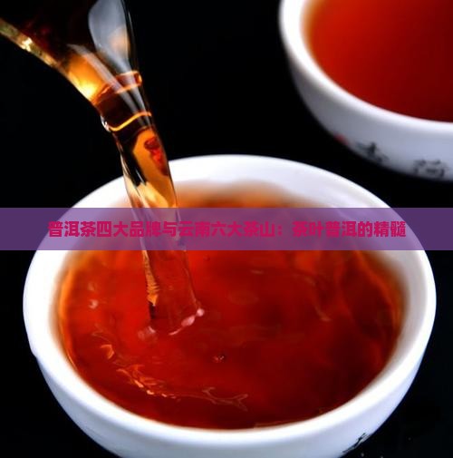 普洱茶的四大品牌六大茶山
