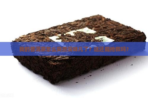 普洱茶突然不香了