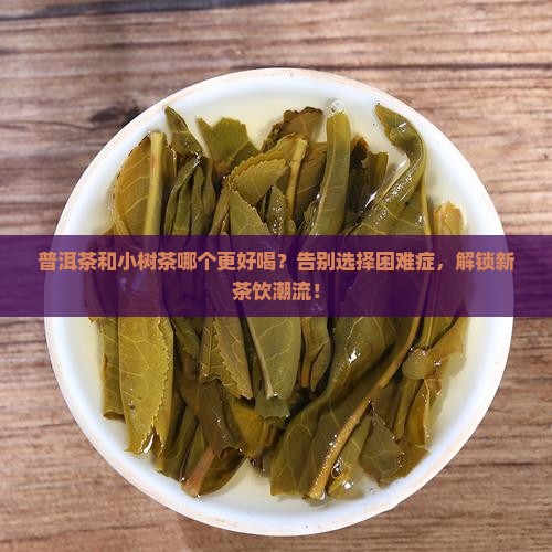 普洱茶和小树茶哪个好喝
