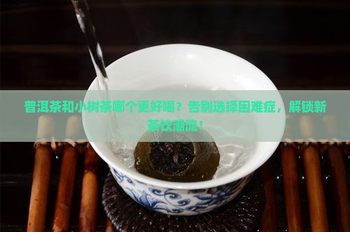 普洱茶和小树茶哪个好喝