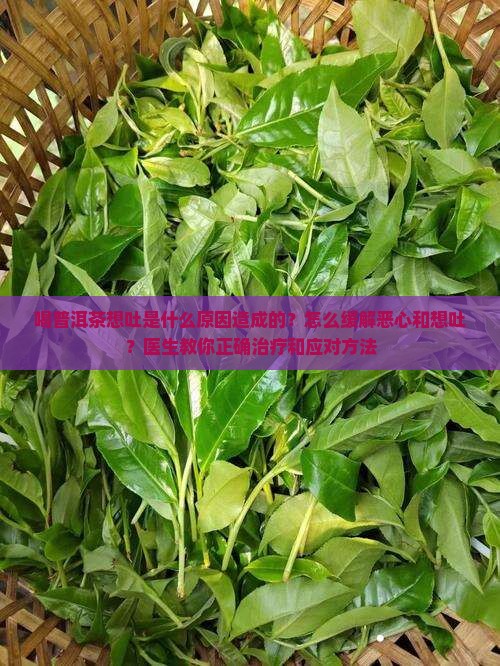 喝普洱茶想吐是什么原因造成的