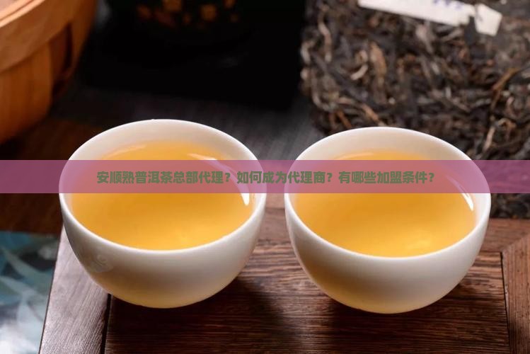 安顺熟普洱茶总部代理