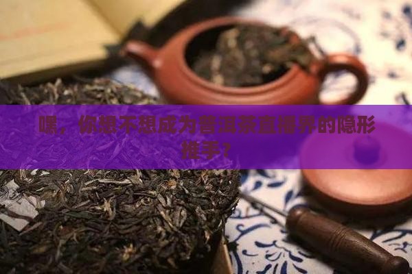 普洱茶直播助理工作