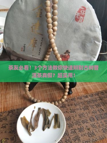 怎么区分什么是古树普洱茶