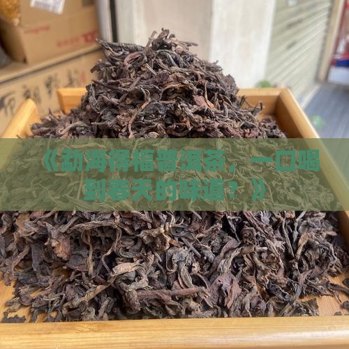 勐海得福普洱茶