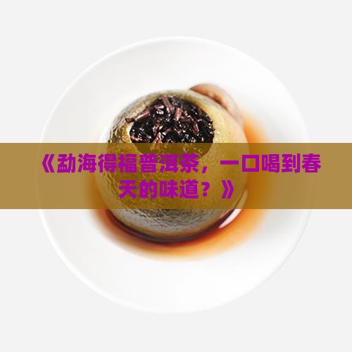勐海得福普洱茶