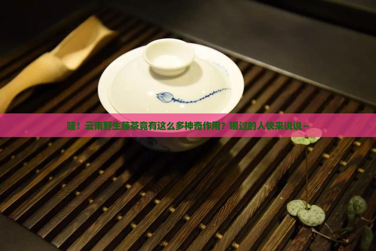 云南野生藤茶的作用藤茶的功效