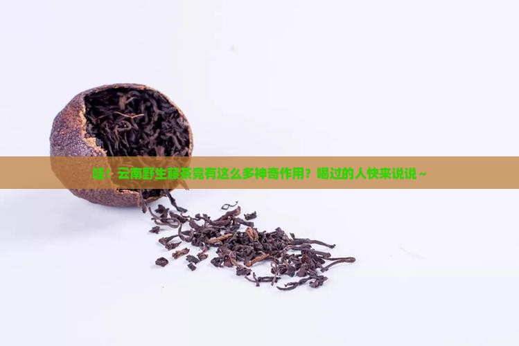 云南野生藤茶的作用藤茶的功效