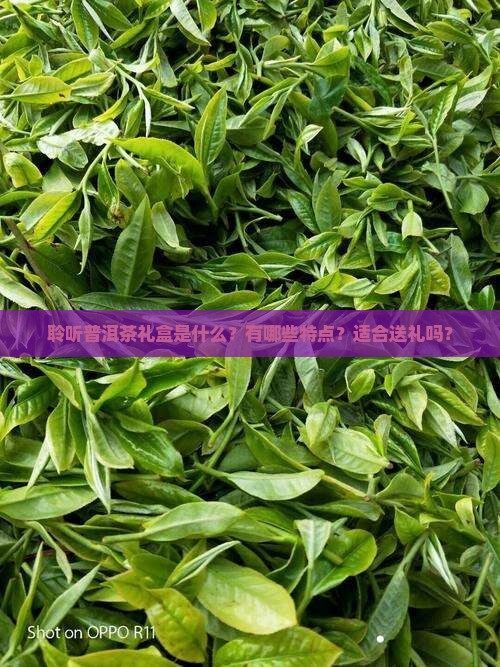 聆聽普洱茶禮盒