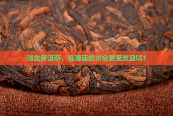 湖北普洱茶在哪个城市好卖