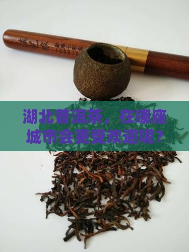 湖北普洱茶在哪个城市好卖