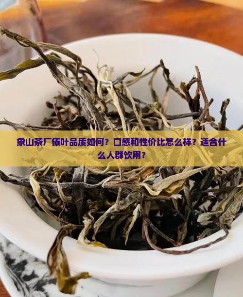 象山茶厂傣叶怎么样