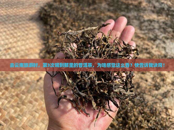 印象是那里的普洱茶
