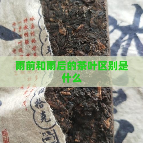 雨前和雨后的茶叶区别
