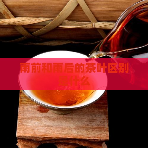 雨前和雨后的茶叶区别