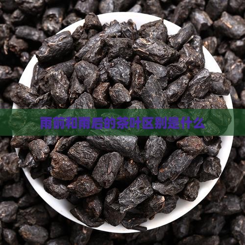 雨前和雨后的茶叶区别