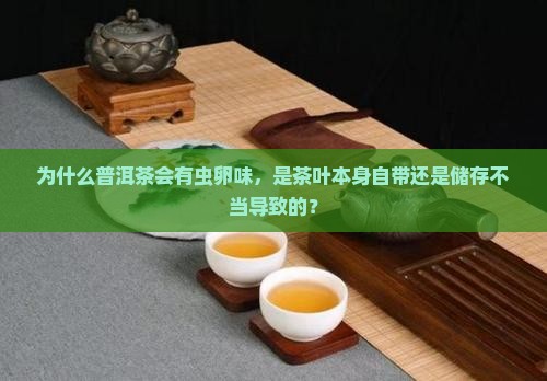 为什么普洱茶有虫卵味道