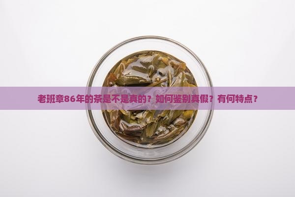 老班章86年的是真的吗