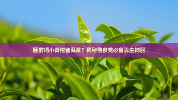 小青柑普洱茶睡前喝