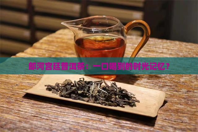 郎河宫廷普洱茶