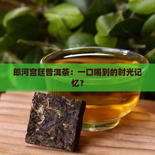 郎河宫廷普洱茶