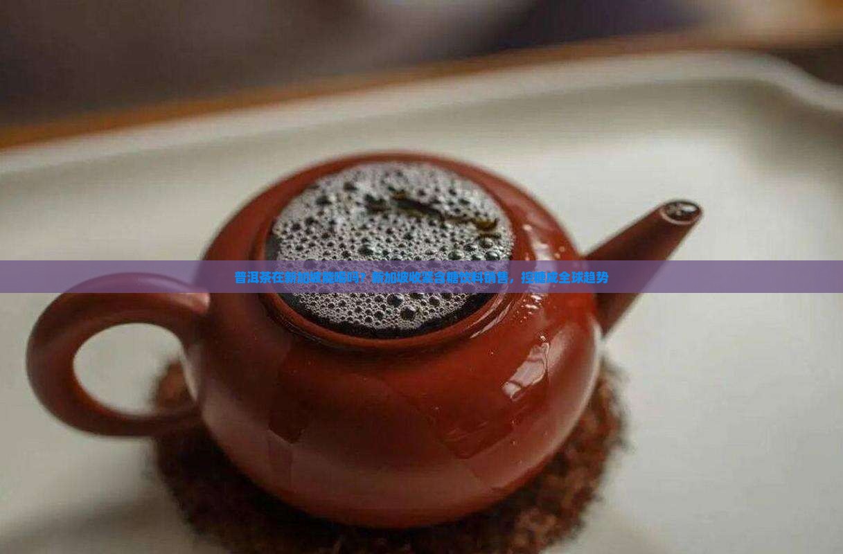 普洱茶在新加坡能喝吗