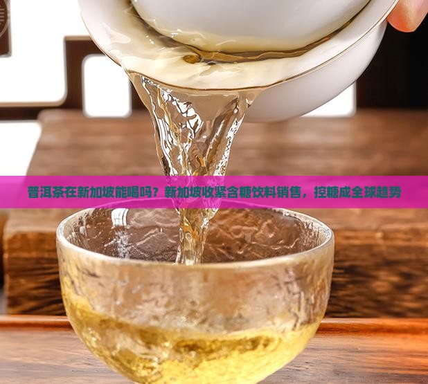 普洱茶在新加坡能喝吗