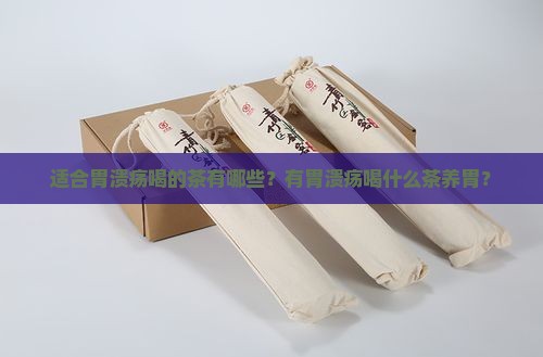适合胃溃疡喝的茶