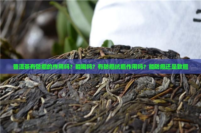 普洱茶有防癌的作用吗
