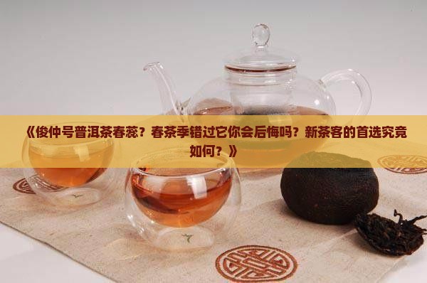 俊仲号普洱茶春蕊