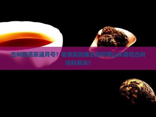 古树普洱茶涵月号
