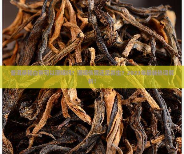 普洱茶和白茶可以混喝吗
