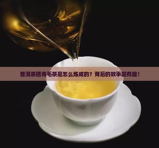 普洱茶晒青毛茶的加工过程