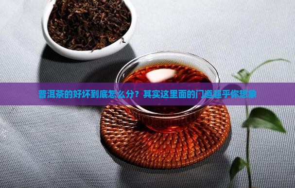 普洱茶怎样分好与坏