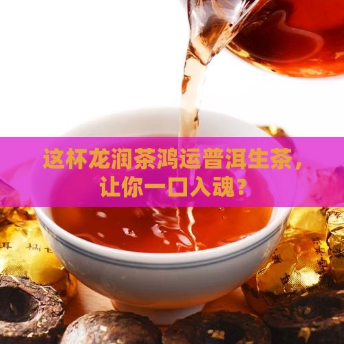龙润茶鸿运普洱茶生茶
