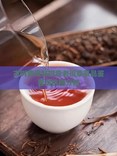 拉古班章古树普洱茶